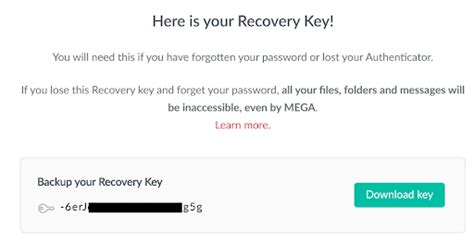 mega recovery key|Recovery .